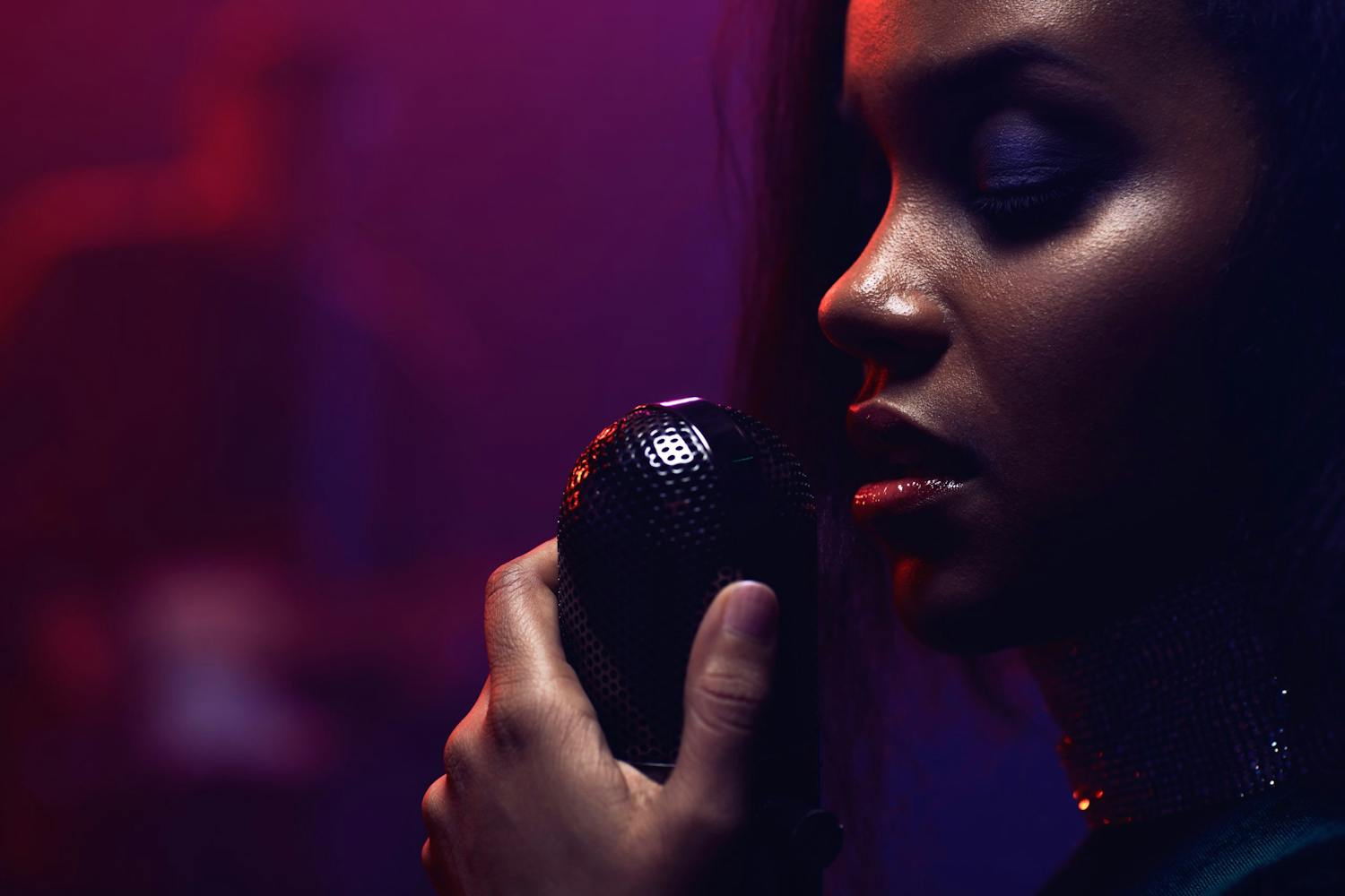 musiker i profil Laulajan profiili